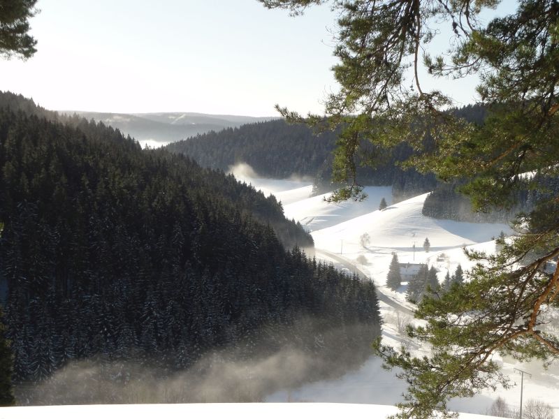 Straße nach Furtwangen